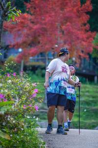 BIB: 9509, 8041
                            <button type="button" onclick="openModal(19242501)" class="btn btn-primary btn-sm float-right btn-popup" data-toggle="modal" data-target=".modal-high-quality">
                        <i class="fas fa-shopping-cart"></i> Add to Cart
                    </button>
                                            <button type="button" onclick="isThisMe(19242501, true)" class="btn btn-success btn-sm float-right btn-popup btn-isme hidden" data-toggle="tooltip" data-placement="bottom" title="นี่คือรูปของคุณใช่ไหม คลิกที่นี่เพื่อเอาเข้าอัลบั้ม">
                        <i class="fas fa-plus"></i> Add to album
                    </button>
                    <button type="button" onclick="isThisMe(19242501, false)" class="btn btn-warning btn-sm float-right btn-popup btn-isnotme hidden">
                        <i class="fas fa-ban"></i> Remove from album
                    </button>